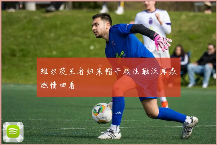 维尔茨王者归来帽子戏法勒沃库森燃情回看