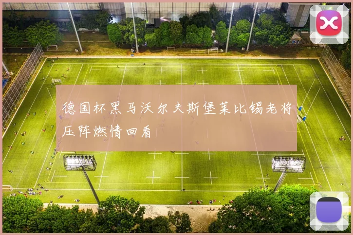 德国杯黑马沃尔夫斯堡莱比锡老将压阵燃情回看