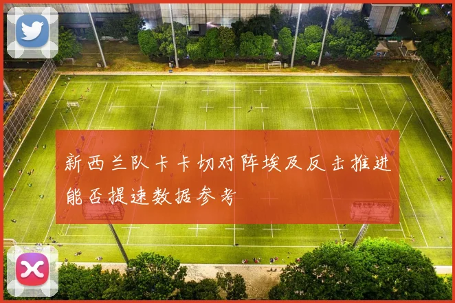 新西兰队卡卡切对阵埃及反击推进能否提速数据参考